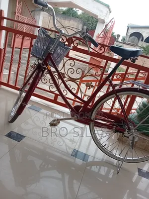 Bicycle Whine