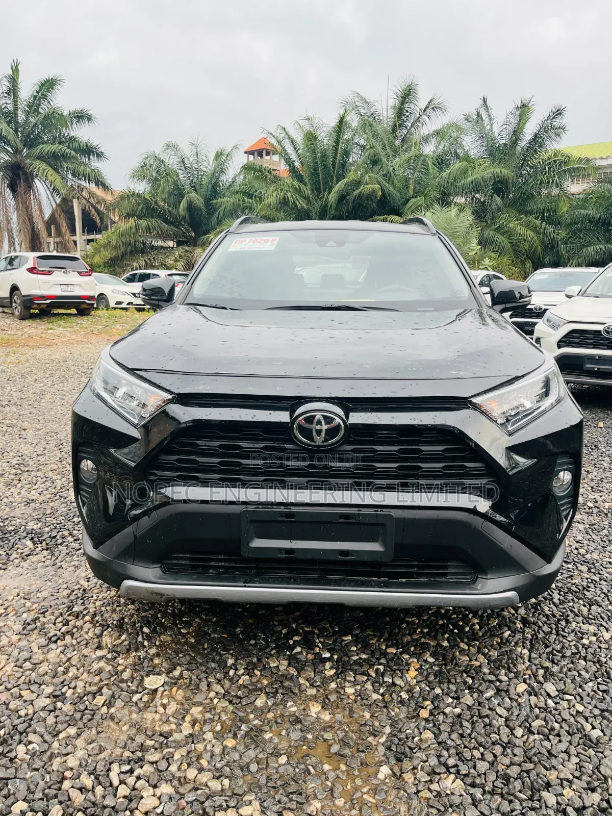 Toyota RAV4 LE 2022 Black