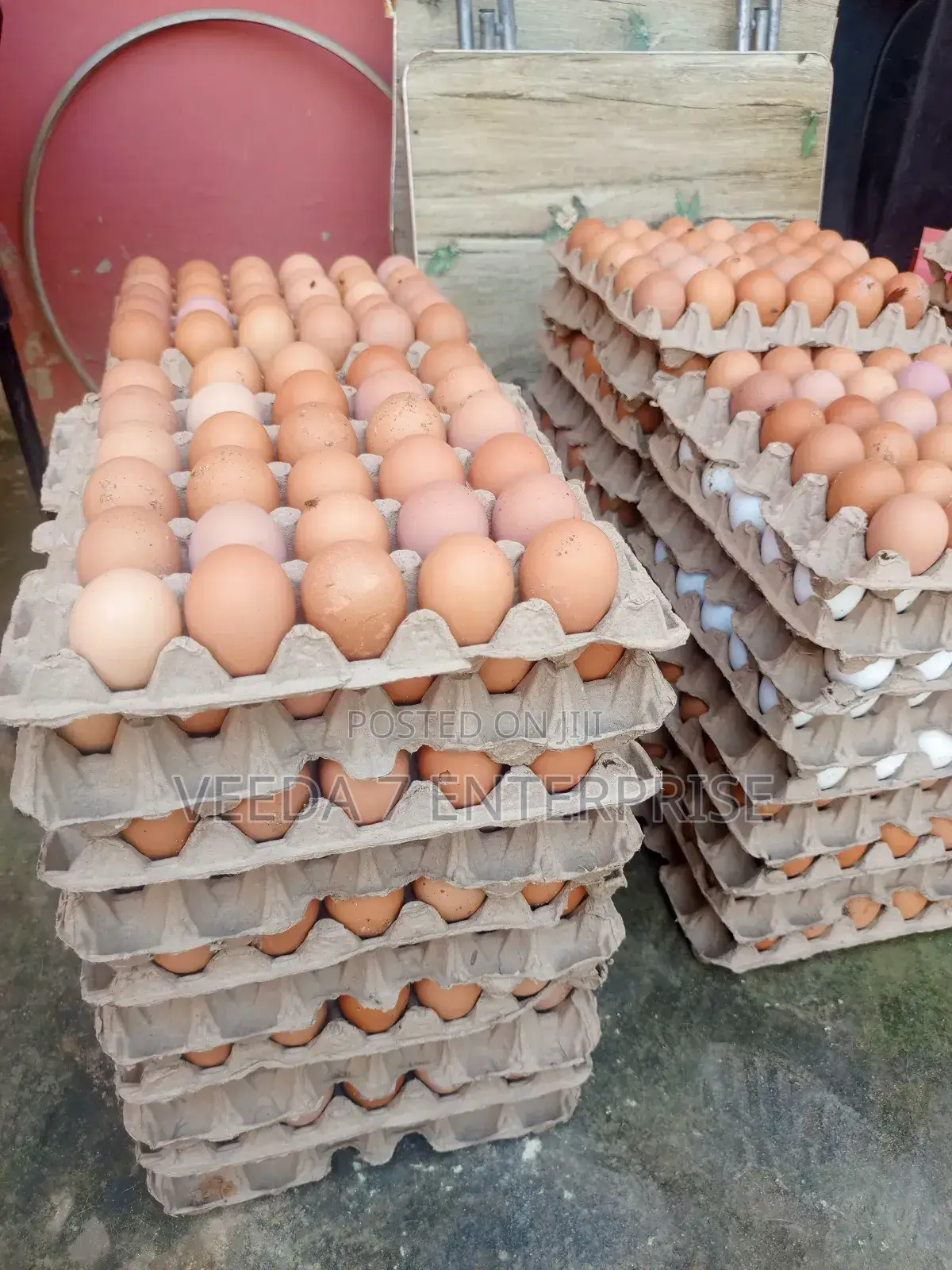 Fresh Eggs