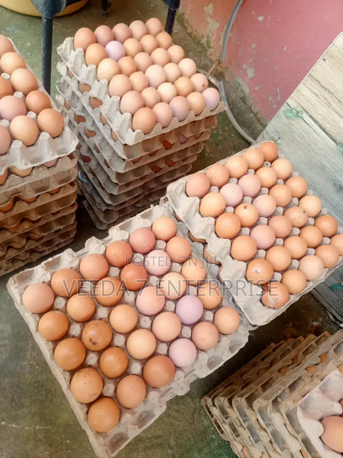 Fresh Eggs