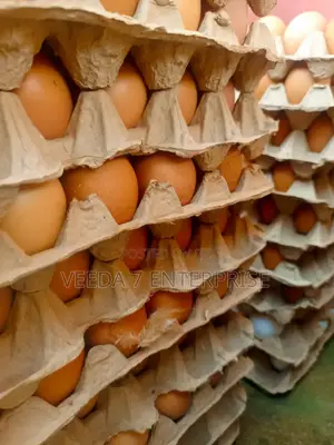 Fresh Eggs