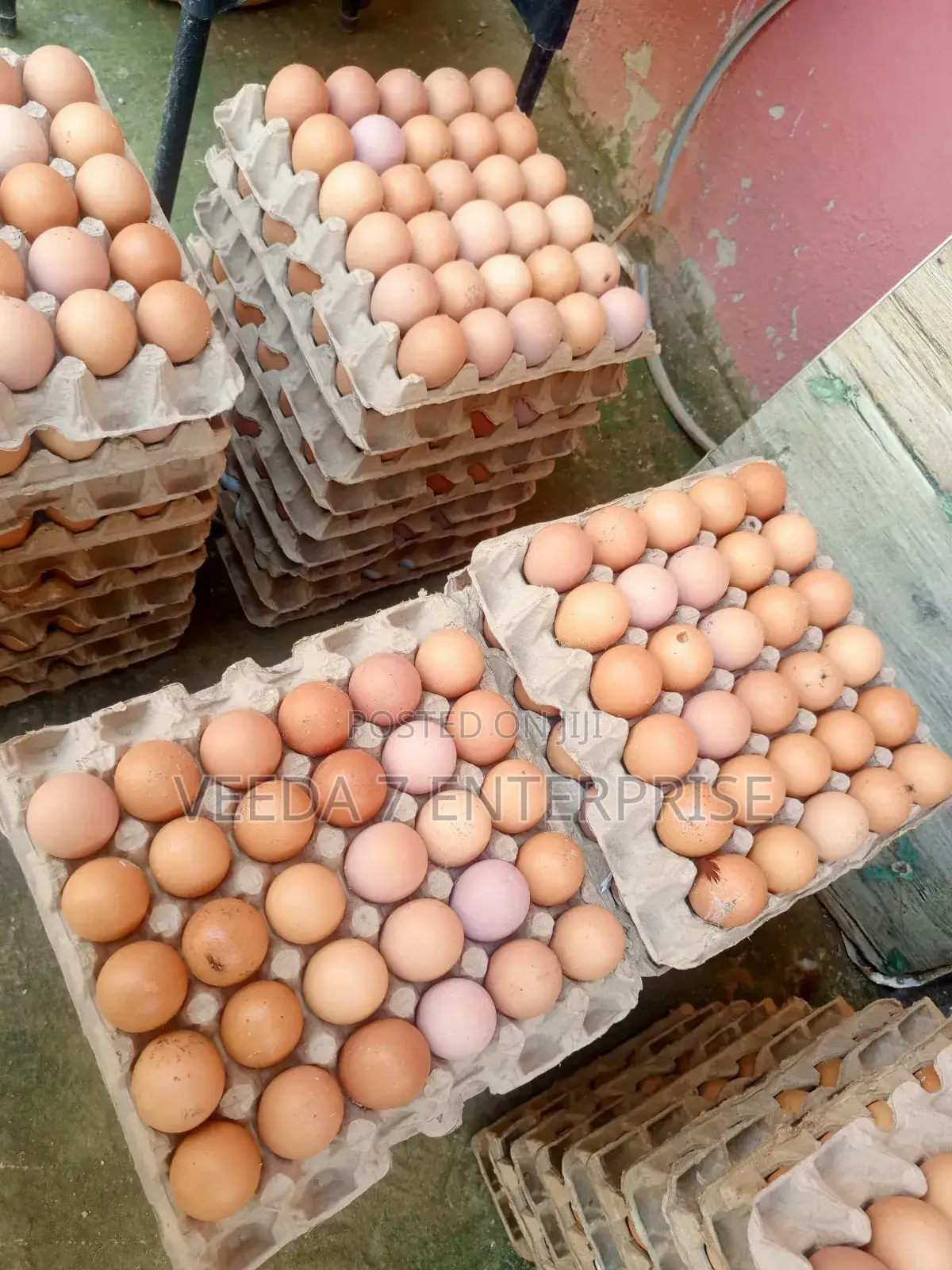 Fresh Eggs