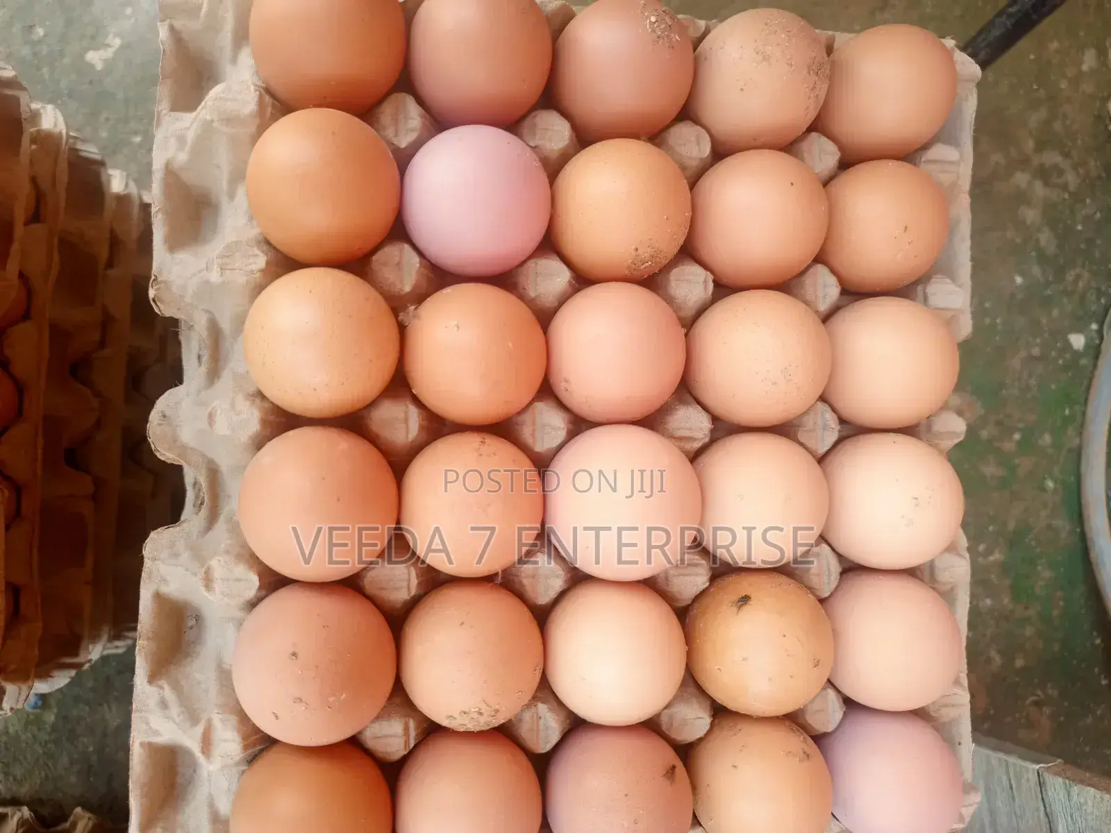 Fresh Eggs