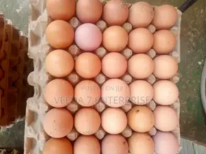 Fresh Eggs