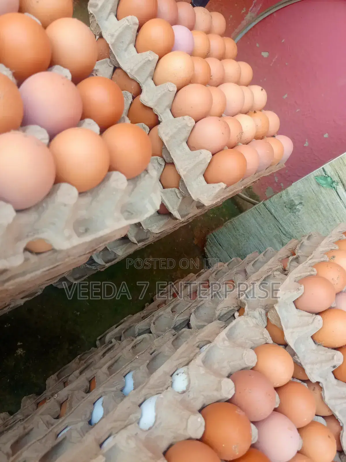 Fresh Eggs