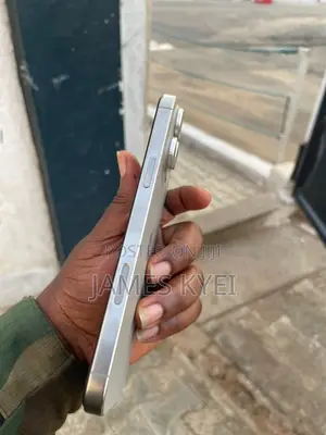 Apple iPhone 16 Pro Max 256 GB Gray