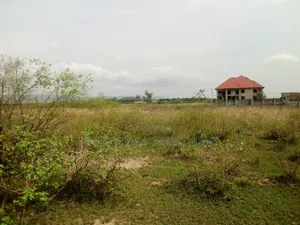 Classic Service Land - Appolonia