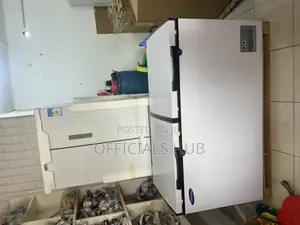 Samsung Double Door Deep Freezer