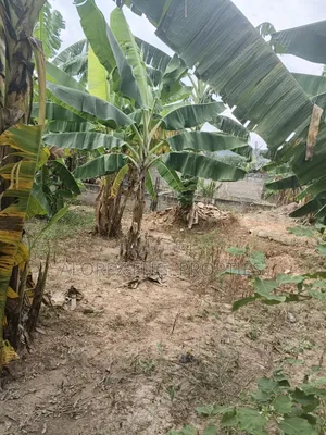A Plot of Land With Footing for Sale at Oyarifa Teiman