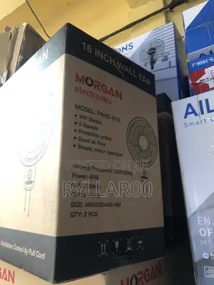 16 Inches Wall Fan(Morgan)