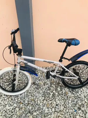 BMX Bike Going for Cool Price