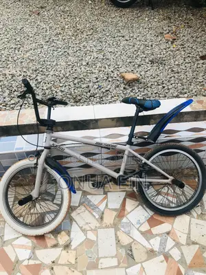 BMX Bike Going for Cool Price