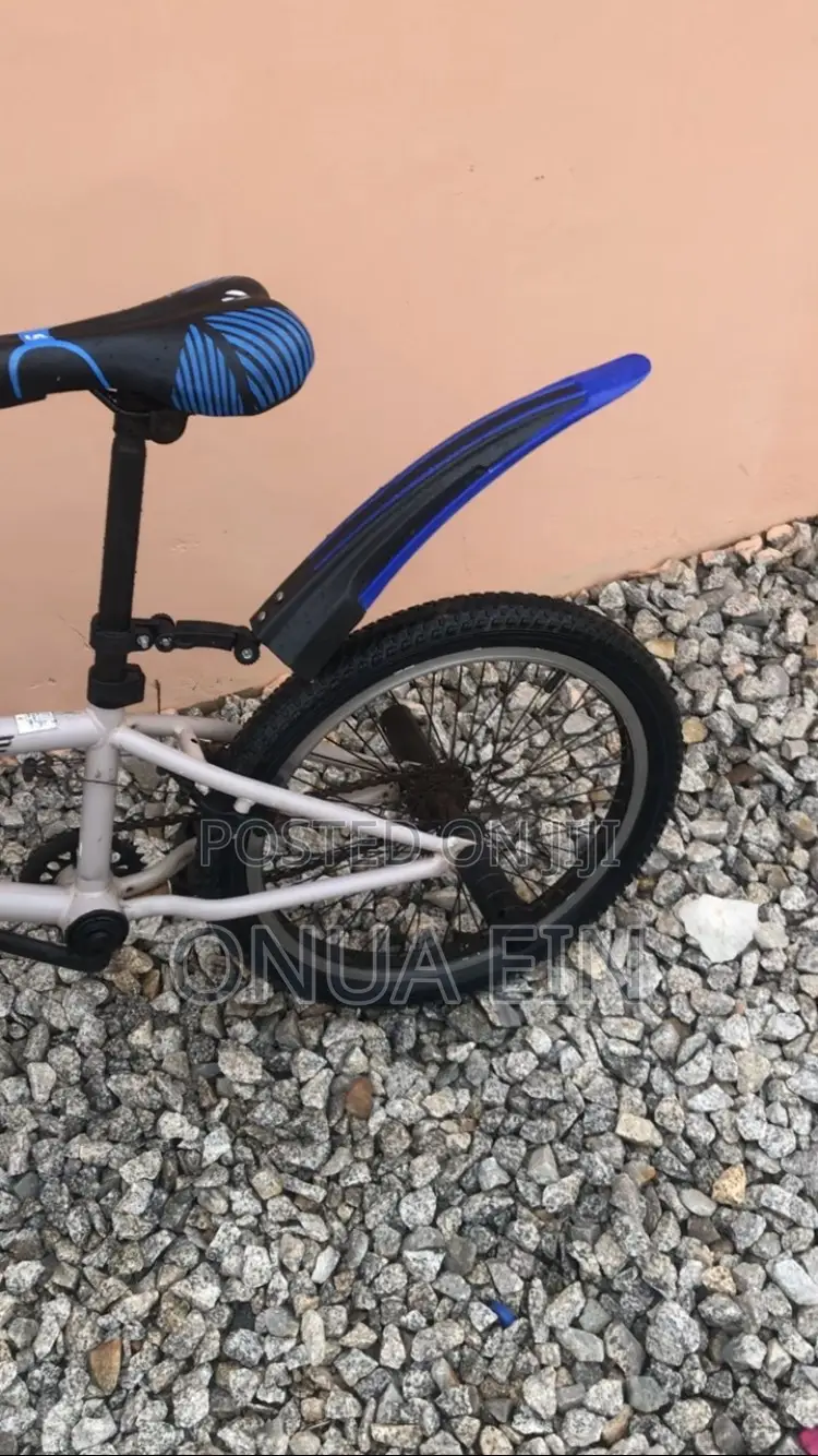 BMX Bike Going for Cool Price