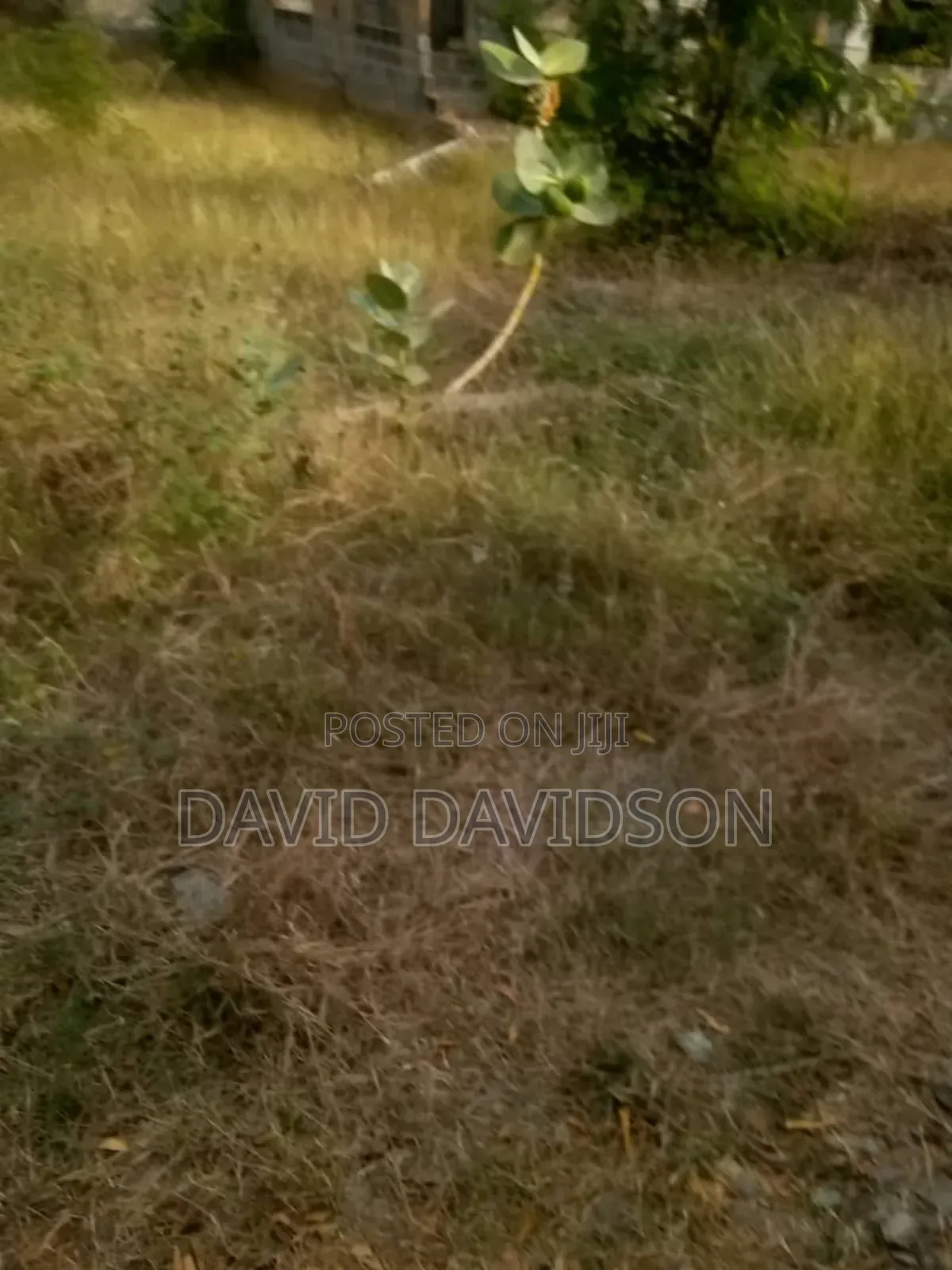 Half Plot of Land at Lashibi 16