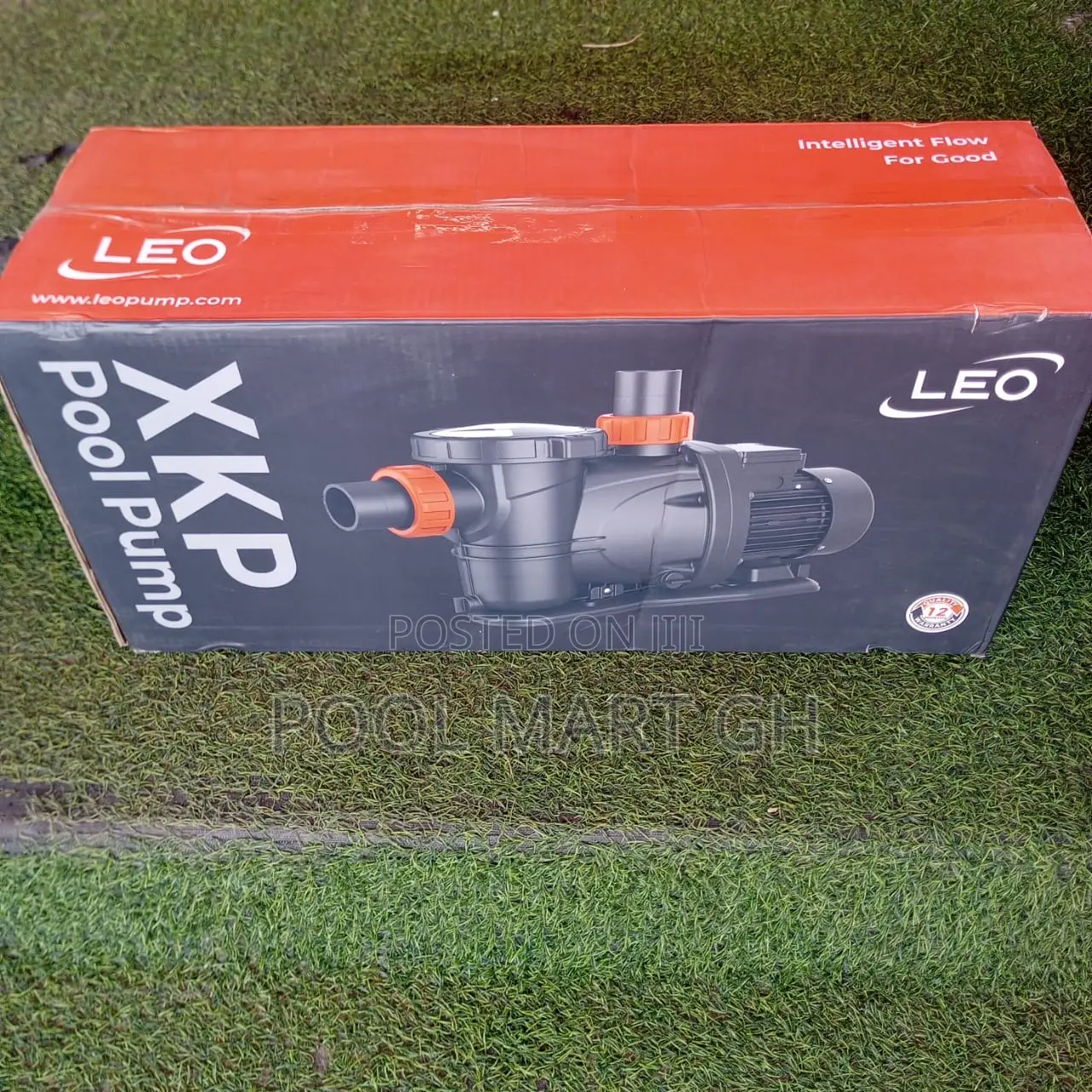 2.0hp Leo Pool Pump