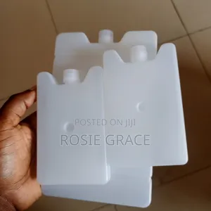 Ice Pack Container/Ice Mold