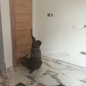 Spraying Work's