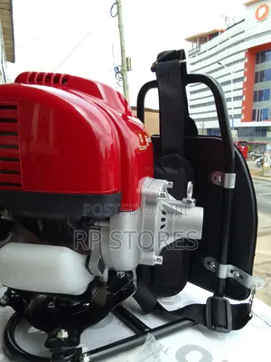 Gasoline Brush Cutter 2in 1