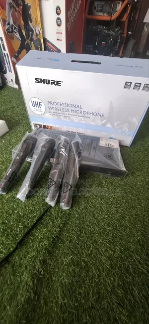 Professional Wireless Microphone