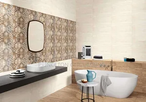 Professional in Plumbing Works
