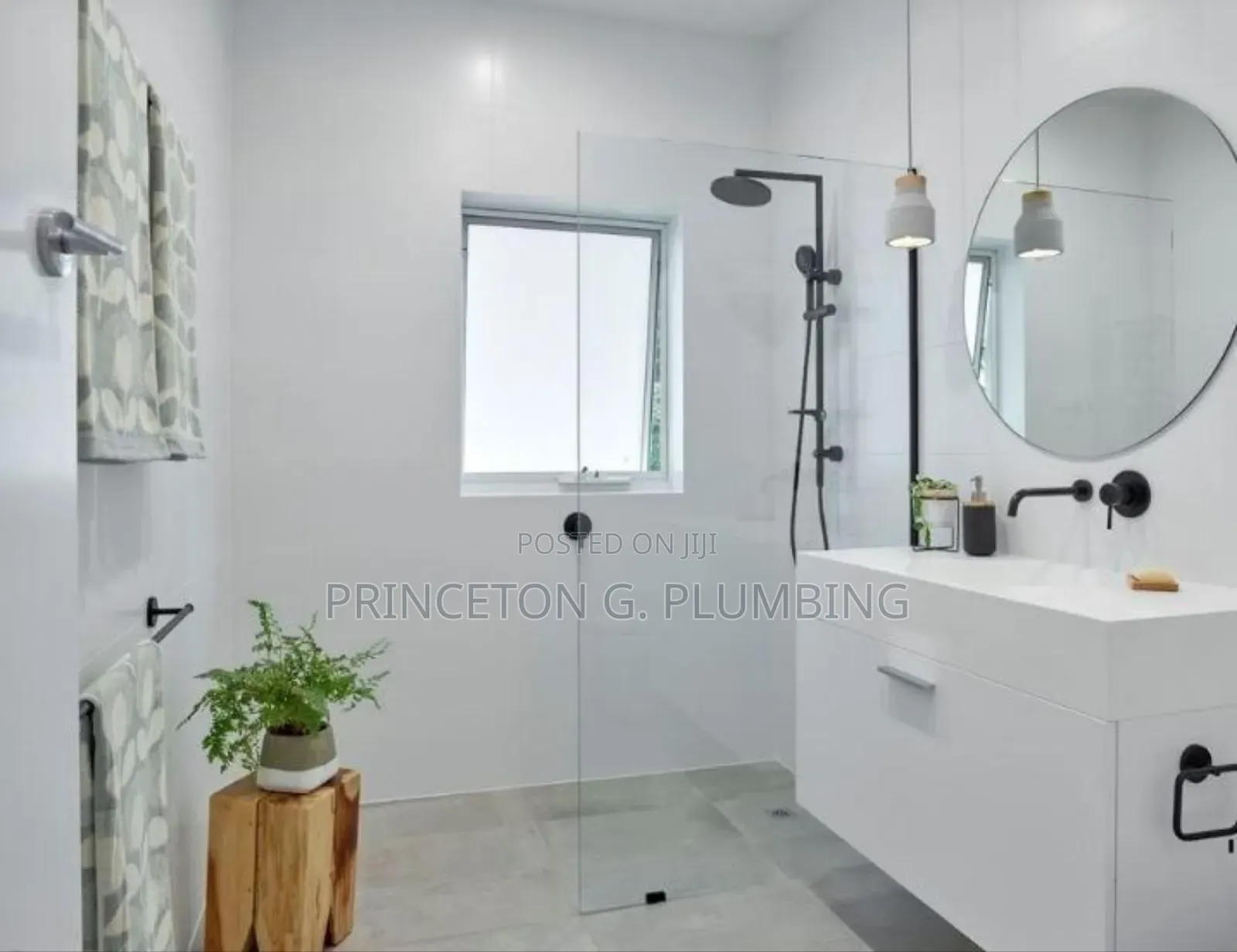 Professional in Plumbing Works