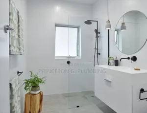 Professional in Plumbing Works