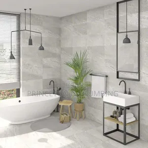 Professional in Plumbing Works