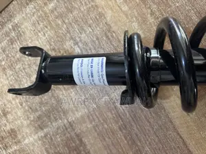Dodge Ram 1500 Front Complete Front Shock Absorber