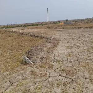 Well Demarcated Plot for Sale, Tsopoli