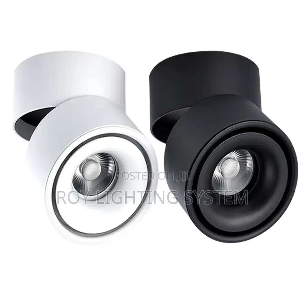 White and Black Adjustable Mounted 3colored Spot Lighting.