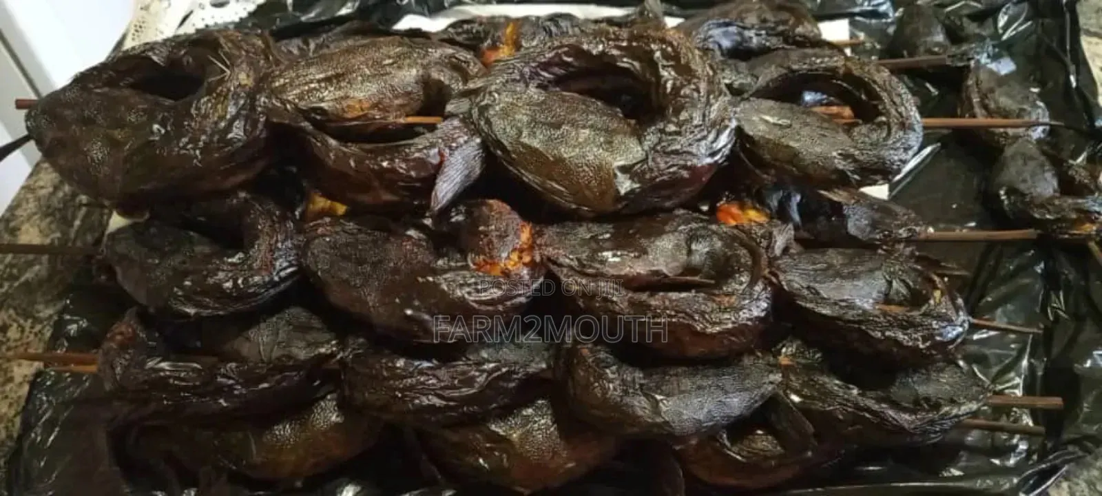 Catfish Smoked and Live