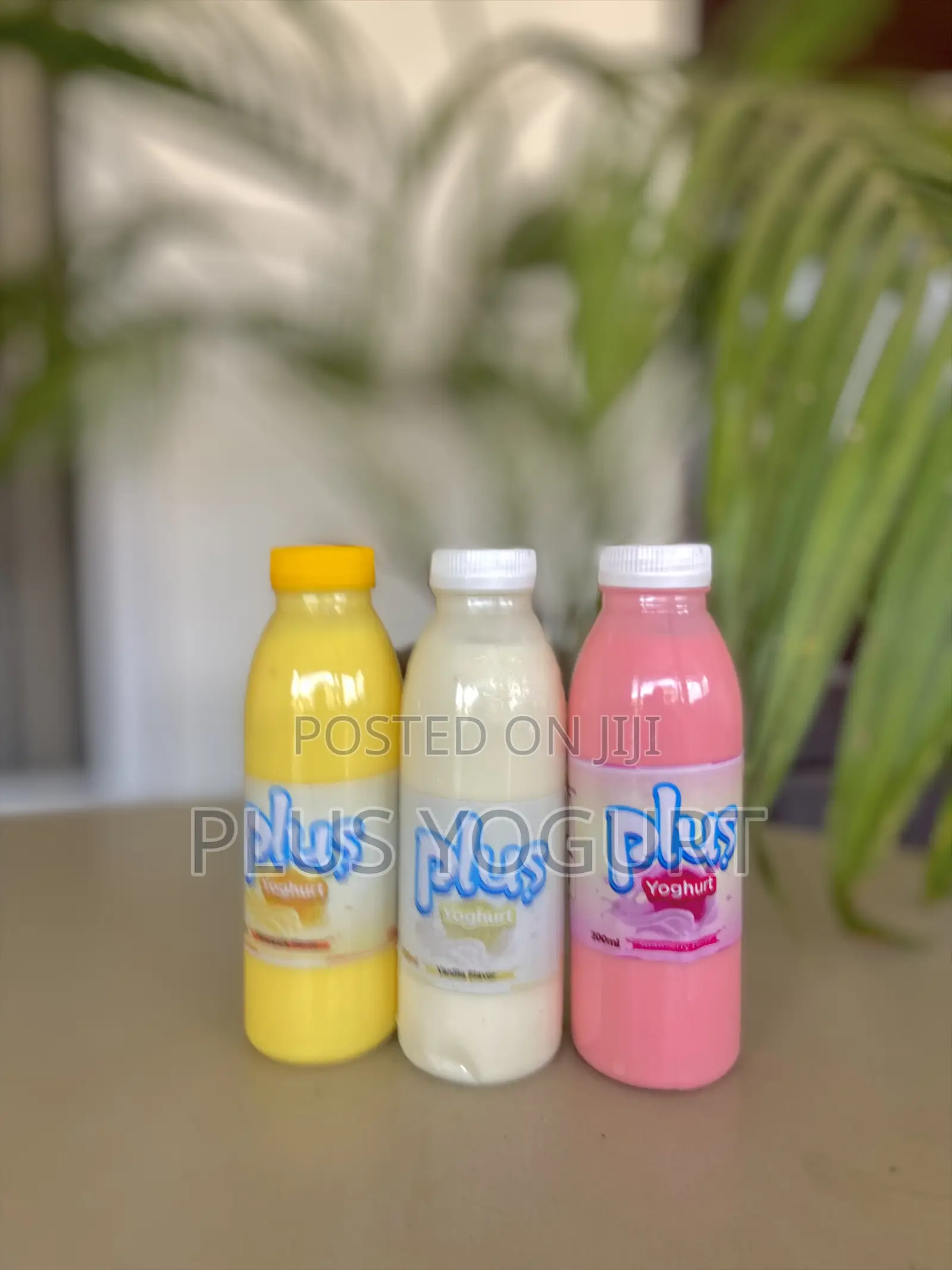 Plus Yoghurt