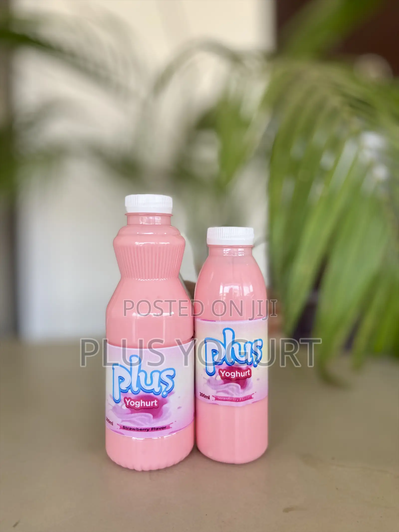 Plus Yoghurt