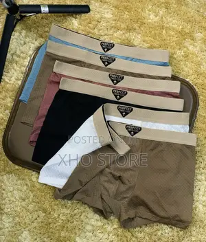 5-Pack Men's Ice Silk Boxer Shorts:Ultra-Breathable Seamless Underwear