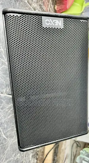 Nexo Stage Monitor and Half Range Speaker