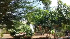 Titled 3 Plots at Obeyeyie, Amasaman