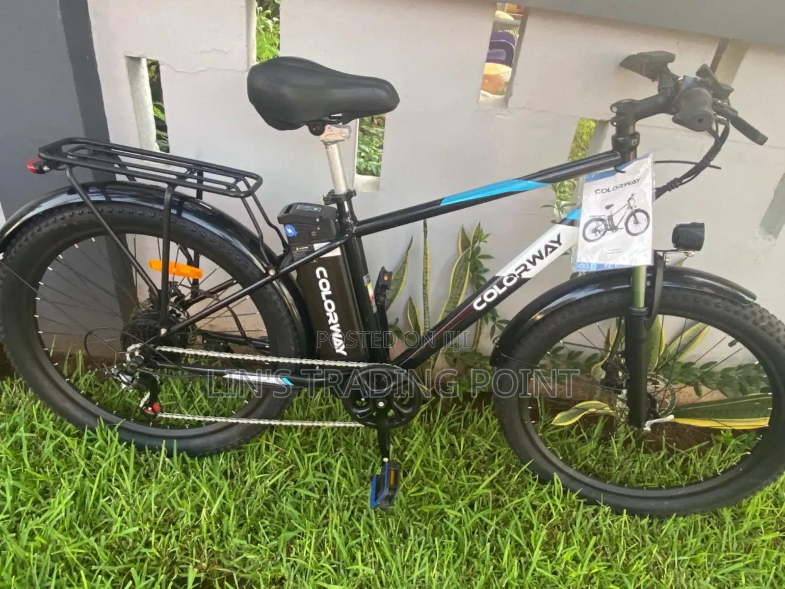 Colorway Adult Electric Bicyle