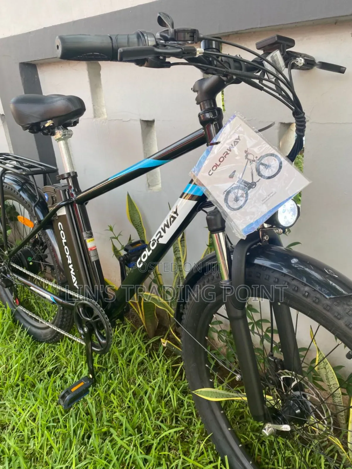 Colorway Adult Electric Bicyle
