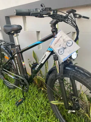 Colorway Adult Electric Bicyle