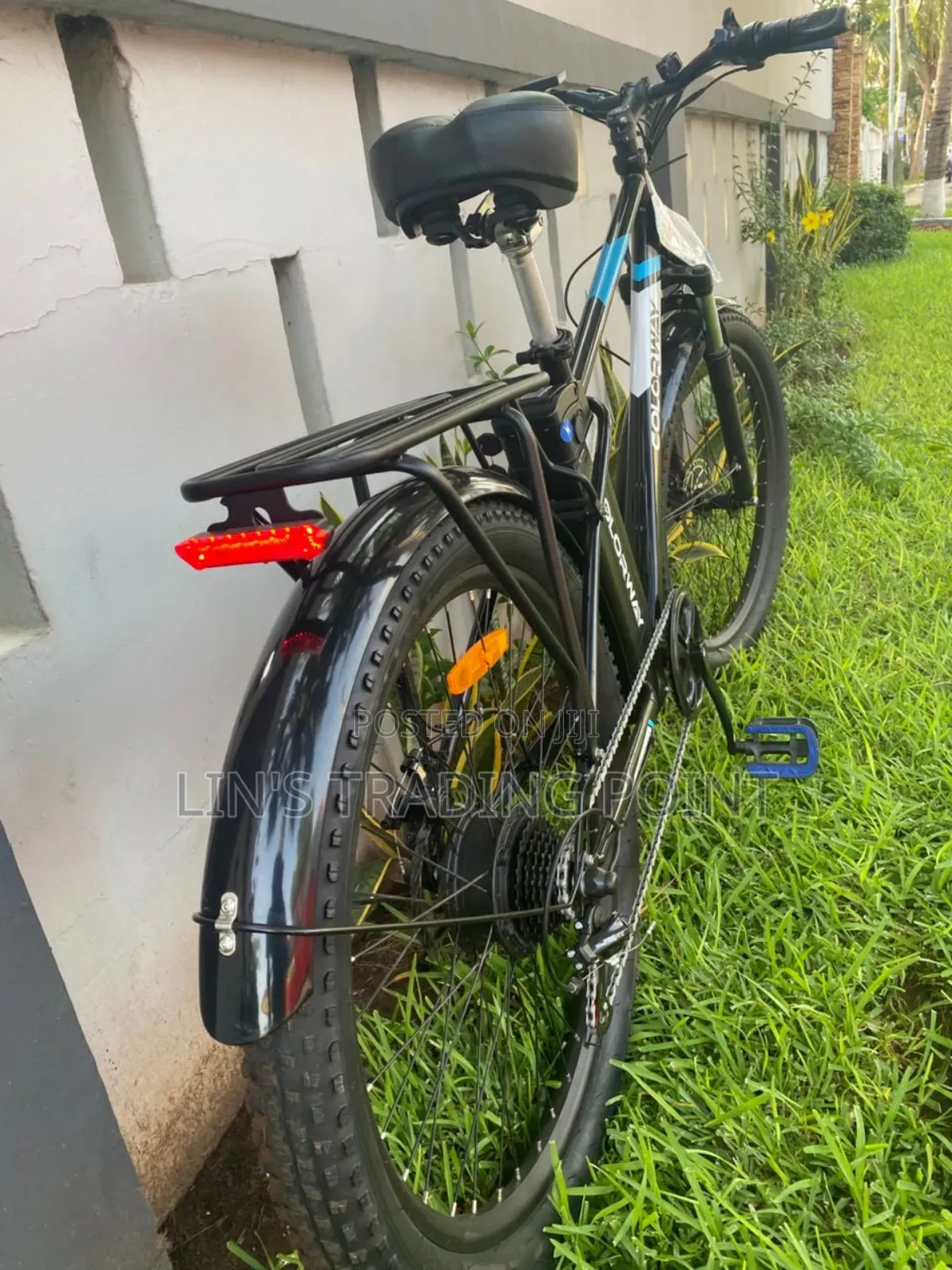 Colorway Adult Electric Bicyle