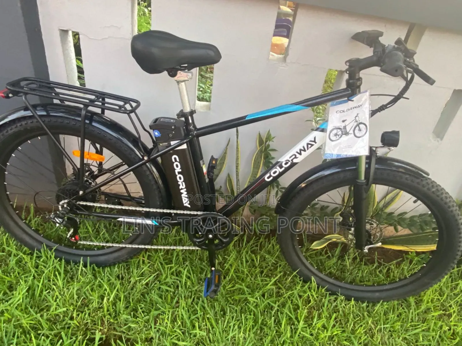 Colorway Adult Electric Bicyle