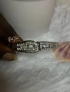 Bracelet (God/Silver)