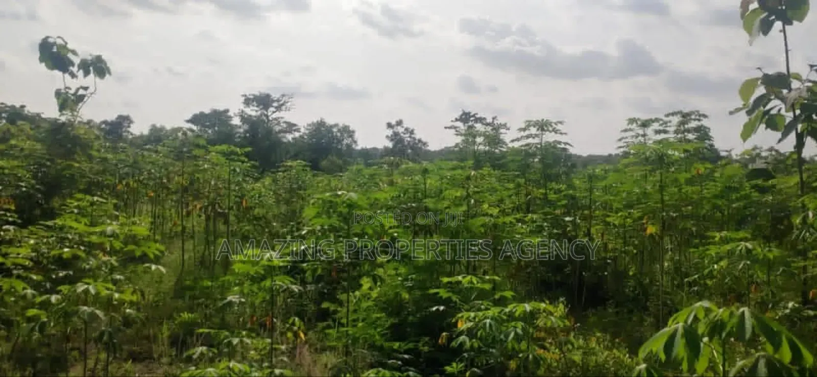 Property for Sale at Dzorwulu