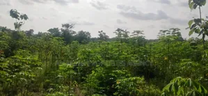 Property for Sale at Dzorwulu
