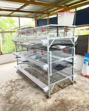 H Type of Battery Cage