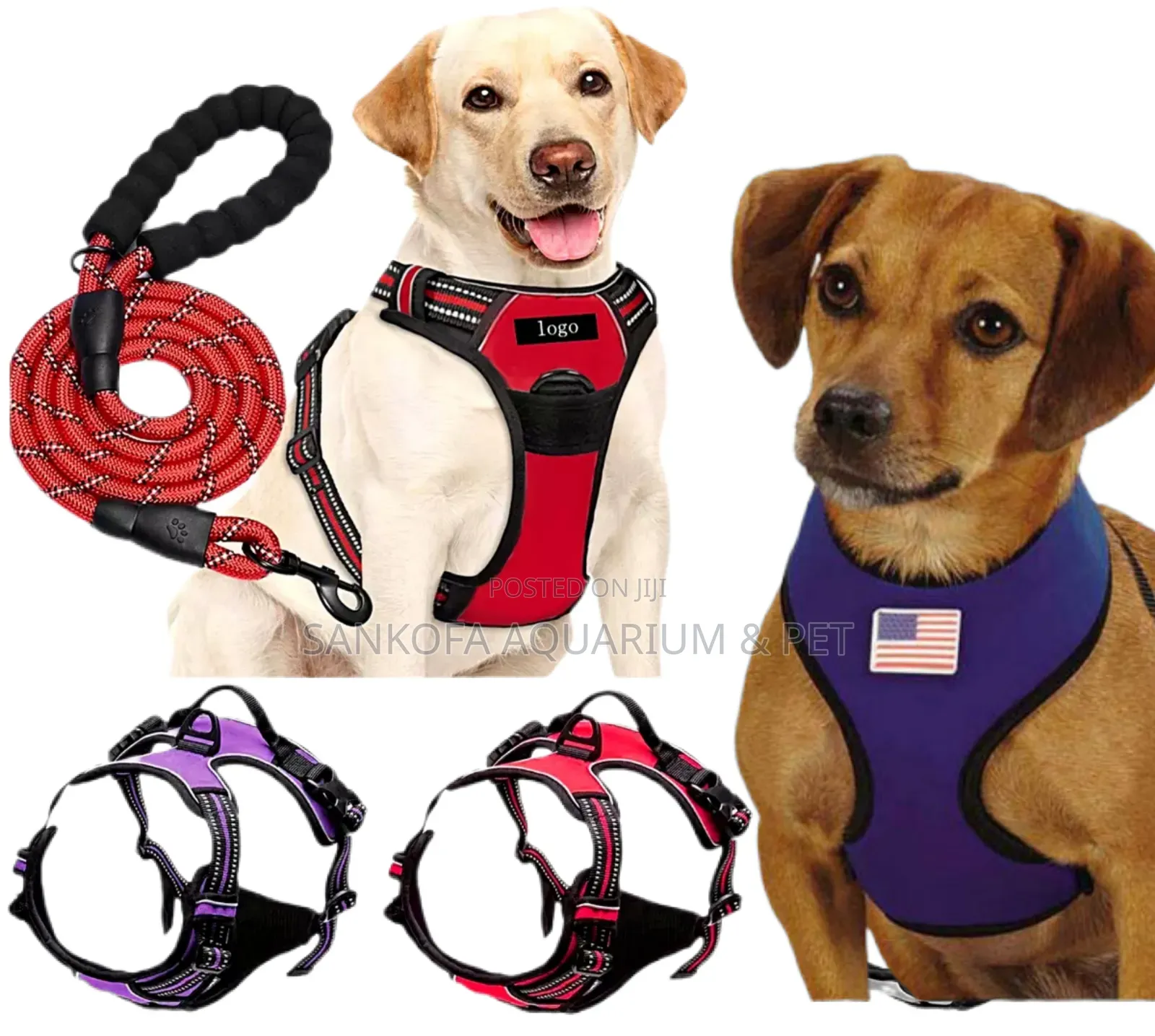 Quality Dog Harness With Leash