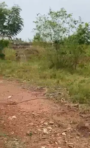 Affordable Plots of Land at Oyibi Bawaleshie