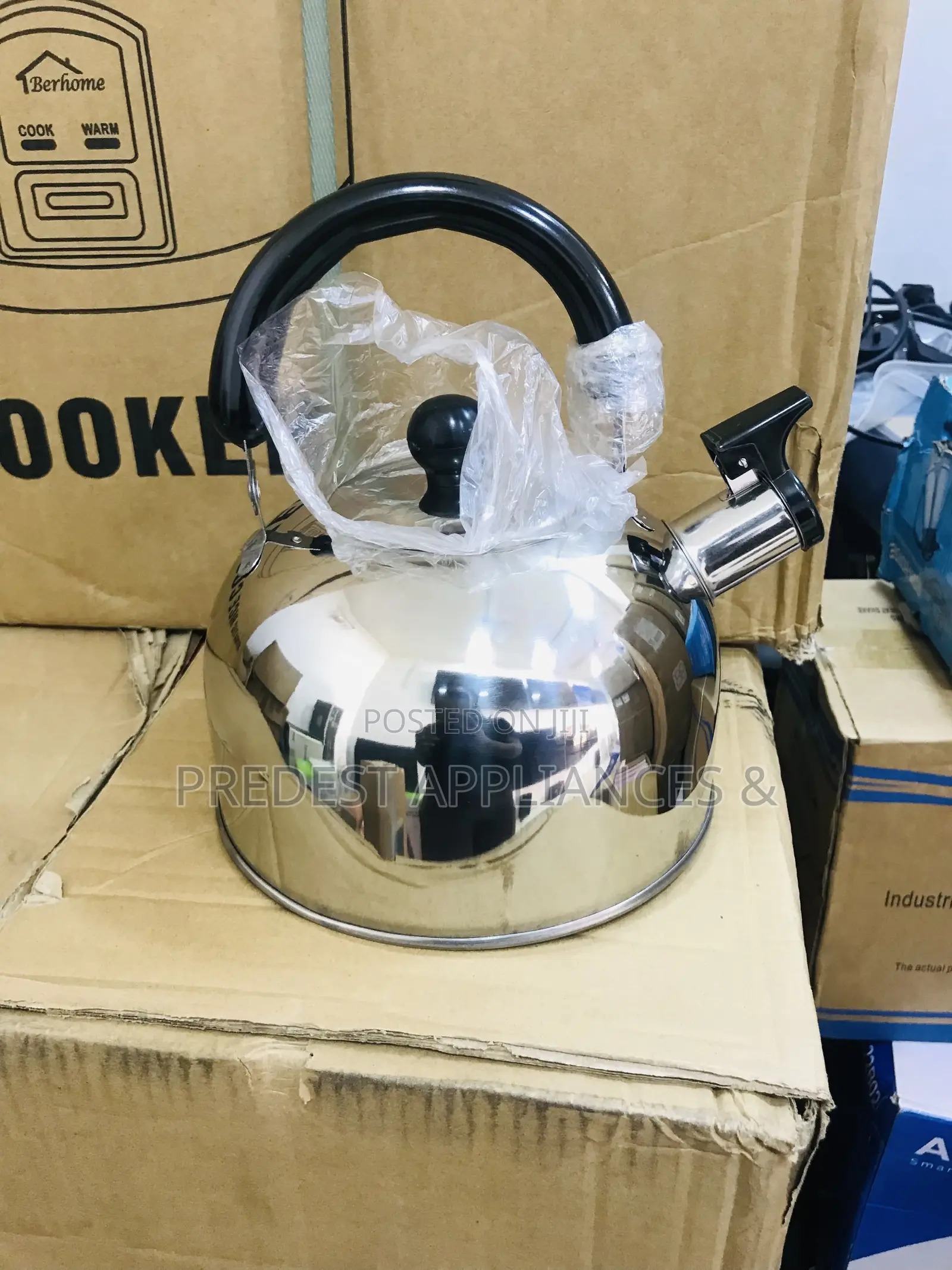 Stainless Steel Induction Kettle 2l