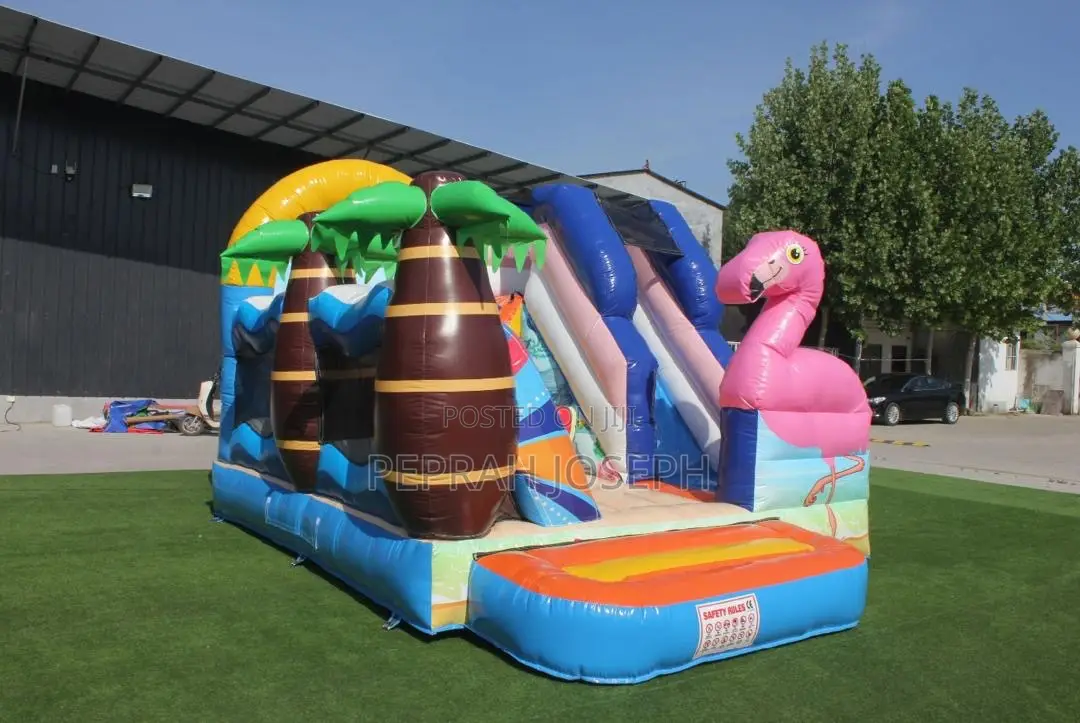 Strong and Playful Bouncy Castle for Rentals