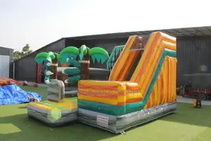 Strong and Playful Bouncy Castle for Rentals